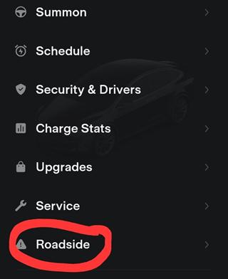 tesla app select roadside